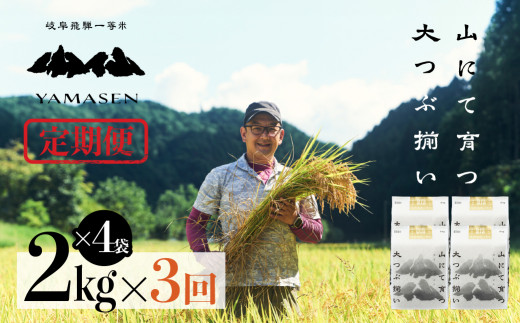 令和6年産米【定期便】山仙（いのちの壱）【2kg×4袋（8kg）×3回】 すがたらいす 下呂市金山産 2024年産 毎月 8キロ×3カ月 お米 精米 下呂温泉 下呂市 米 ブランド米