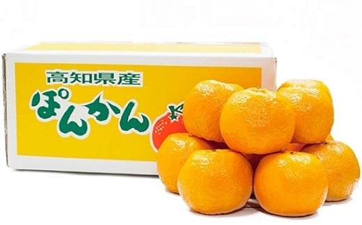 
植田農園 の ポンカン 10kg 高知県 産（ご 家庭用 ） ［1184］
