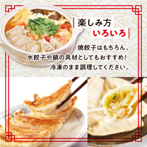 【2ヵ月毎定期便】「ぎょうざの満洲」生餃子＆食べ比べ2種＆ラーメンセット全3回【配送不可地域：離島】【4056656】