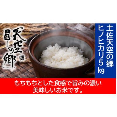 ふるさと納税 本山町 ★令和7年産★　本山町の棚田で育てられた「土佐天空の郷ヒノヒカリ」5kg