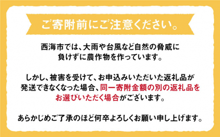 【数量限定】【訳あり】はるか 約5kg＜中尾果樹園＞ [CEL004]