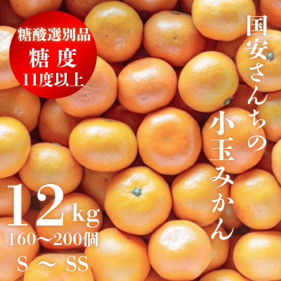
            糖度11.0以上　国安さんちの厳選小玉みかん　12kg＜F20-30＞_ みかん ミカン 柑橘 くだもの 果物 フルーツ 温州 小玉 ジューシー 甘い 常温 デザート 産地直送 産直 愛媛 人気 【1323622】
          