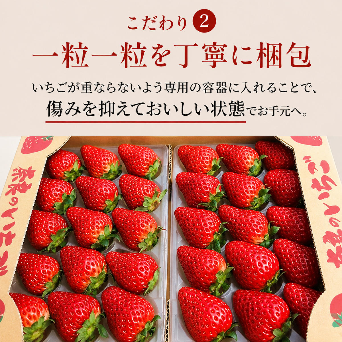 先行予約 いちご 奈良県産 奈乃華 約1620g 270g×6パック 今西さん家の奈良いちご 冷蔵配送 なのか フルーツ 果物 旬 糖度 産地直送 農家直送 お取り寄せ おやつ デザート 苺 冷蔵  