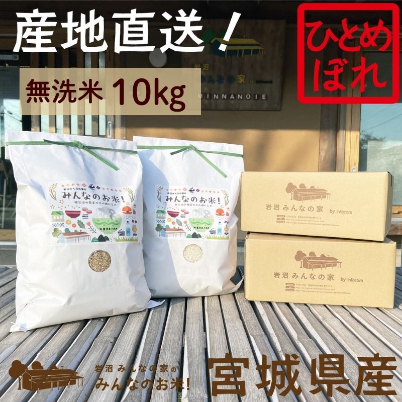 【ふるさと納税】 米 ひとめぼれ 無洗米 10kg 宮城県産 Aランク 銘柄米 宮城 ブランド 無洗米ひとめぼれ Aランク 産地直送 岩沼産 こめ お米 おこめ ブランド米 単一原料米 Aランク米 ごはん お弁当 おにぎり 家庭 復興 支援 岩沼みんなの家 みんなのお米！ 宮城県 岩沼市