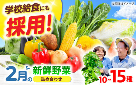 高槻野菜おまかせ詰め合わせセット 2月（10種~15種）[AOCS008] 野菜セット