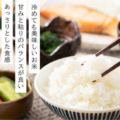 ふるさと納税 岩見沢市 令和7年産 ファーム坂口の特別栽培米 ななつぼし精米 15kg |  | 02