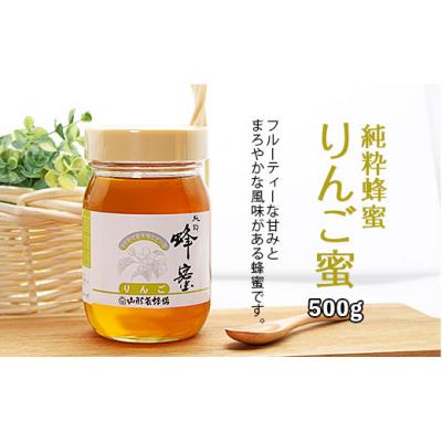 ふるさと納税 山形市 純粋蜂蜜 りんご蜜 500g FZ20-934