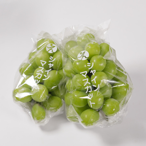 【来季先行予約】【2025年8月下旬～9月中旬順次発送】 シャインマスカット 1kg ( 2房 または 3房 )  秀品 シャインマスカット マスカット ますかっと ぶどう ブドウ 葡萄 種無し 果物