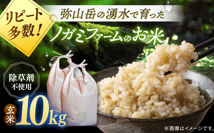 
            弥山岳の岩清水で育ったノガミファームのお米 玄米10kg　 桂川町/NOGAMI FARM [ADAU010]
          