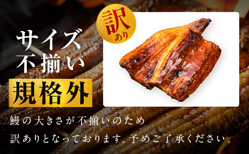 【規格外】うなぎ 暴れ盛り 250g（2カット）【お試し 鰻 かば焼き 簡単調理 訳あり サイズ不揃い 人気 惣菜 うな重 うな丼 ひつまぶし】 G3973_イメージ3