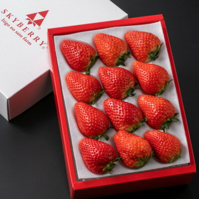 【ふるさと納税】スカイベリー(12～15粒入り)【配送不可地域：離島・北海道・沖縄県・中国・四国・九州】【1711545】