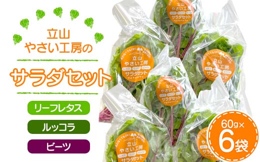 
立山やさい工房のサラダセット 60g×6袋 農薬不使用 水耕栽培 新鮮 野菜 サラダ 小分け リーフレタス ルッコラ ビーツ セット 冷蔵 国産 食品 立山やさい工房 F6T-088
