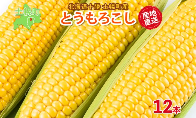 《期間限定》北海道 士幌産  とうもろこし  12本  (2025年8月上旬〜発送開始予定) 約5kg スイートコーン 採れたて コーン 期間限定 新鮮 野菜 産地直送 産直 お取り寄せ 送料無料 十勝 士幌町【V02】