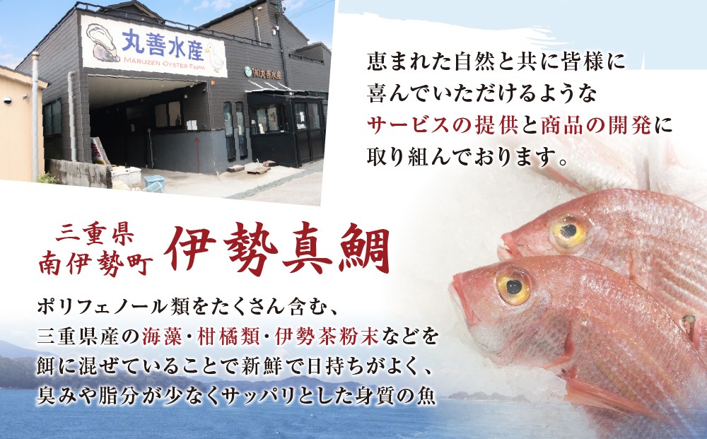 三重県産伊勢真鯛を使用