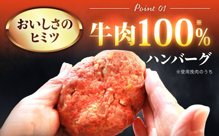 100％佐賀牛！佐賀牛デミハンバーグ 150g×10個 吉野ヶ里町/株式会社博多漁師の里 [FDV001]