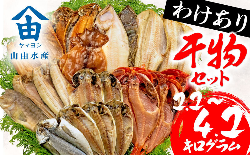 
訳あり 干物 2.2kg 3.4kg 4.2kg 詰め合わせ セット 沼津 からお届け ホッケ 金目鯛 アジ サバ カレイ 赤魚 醤油干し フィレ 冷凍 ひもの 規格外 不揃い
