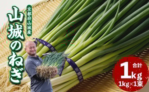 山城のねぎ 1kg 京野菜 ネギ 山城のねぎ 京都府 木津川市 ねぎ 葱 京都府産 野菜  【001-12】