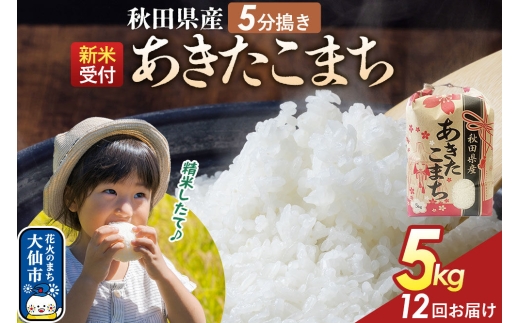 《令和8年産新米予約》 《定期便12ヶ月》【5分搗き】あきたこまち 5kg 秋田県産 こまちライン 秋田県 大仙市産 [秋田 お米 米どころ あきたこまち こまちライン]