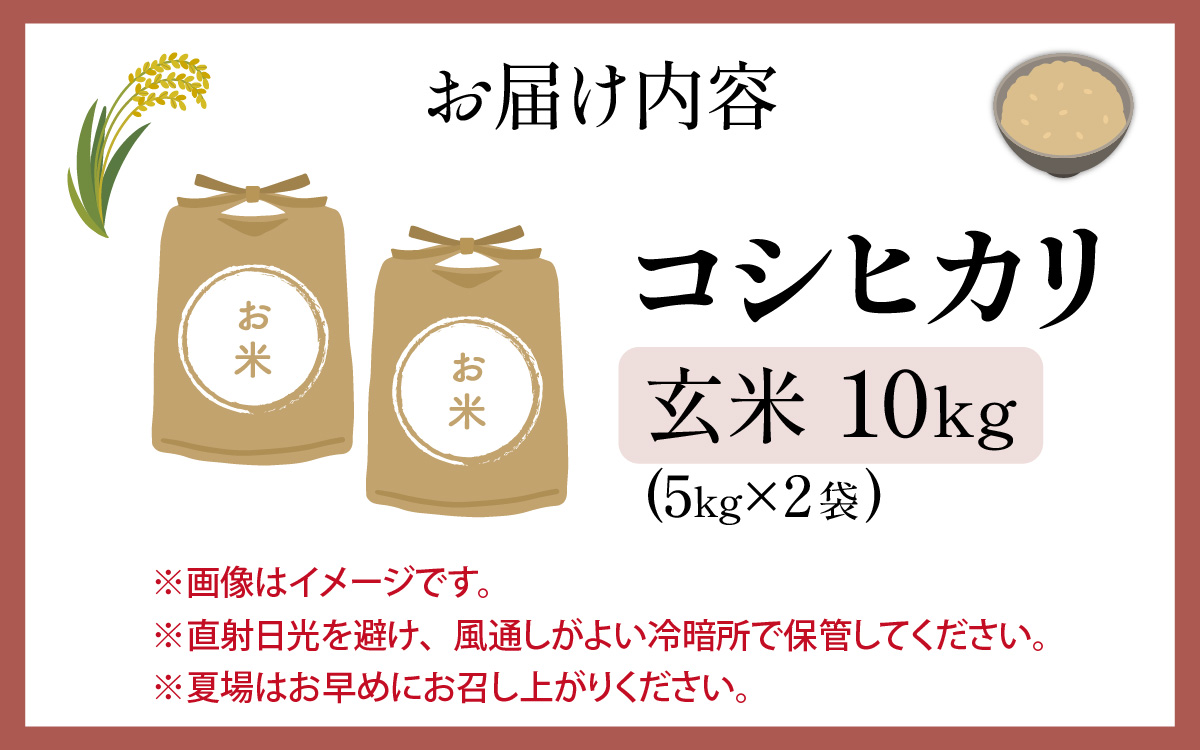 【先行予約】【令和8年産 新米】勝山産 コシヒカリ 玄米 10kg（5kg×2袋）※2026年9月中旬頃より順次発送予定 [B-079005]
