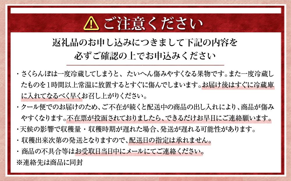 【先行予約】近澤果樹園 小分けで食べやすい「佐藤錦」L~2Lサイズ バラ詰め800g（200g×4パック）（2025年7月上旬より発送予定）【 さくらんぼ サクランボ 果物 くだもの フルーツ デザー