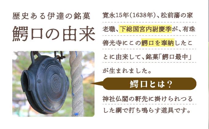 伊達銘菓 有珠善光寺  鰐口最中 20個セット（10個入×2箱）