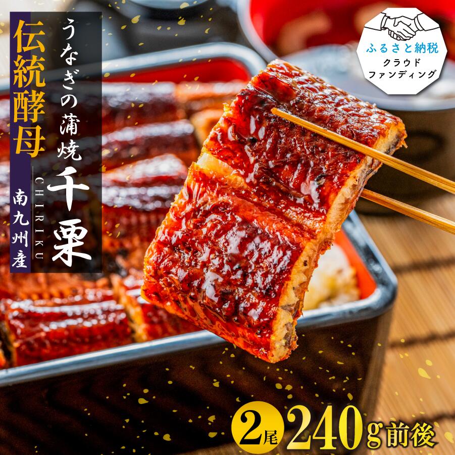 【ふるさと納税】【土用の丑の日先取り：2025年7月15日～30日にお届け】伝統酵母　うなぎの蒲焼　千栗　　国産120g×2(FM049)