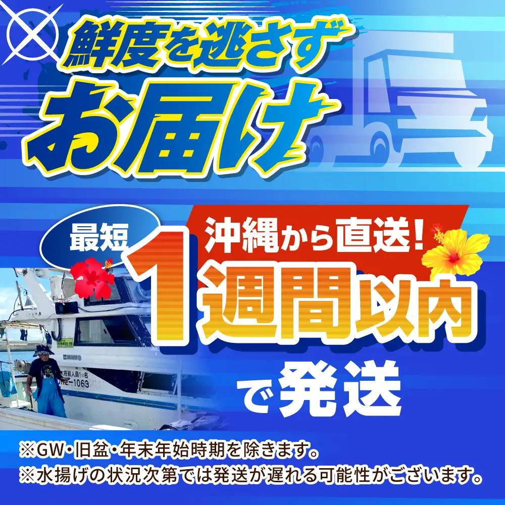 海鮮 セーイカ (そでいか) 600g (300g ×2パック)