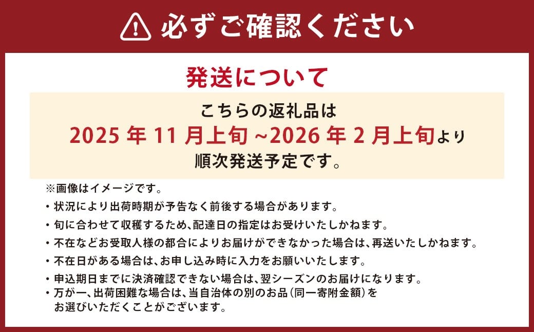 上級 二つ星 至高のフルーツトマト pomodia ポモディア 約1kg（18～30個）