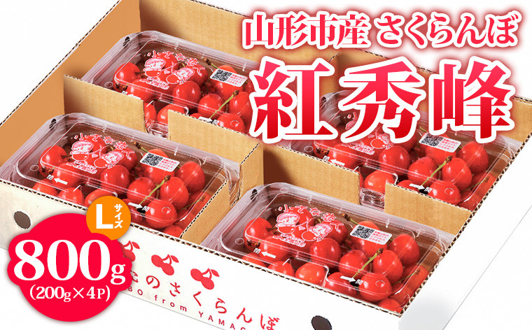 
            山形市産 さくらんぼ【紅秀峰】 Lサイズ 800g(200g×4P) 【令和7年産先行予約】FS24-755
          