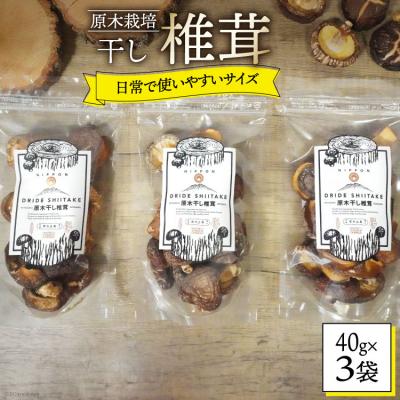 ふるさと納税 美郷町 宮崎県産 乾燥 椎茸 40g×3袋 チャック袋入 HUTTE 宮崎県 美郷町 [31ao0012]