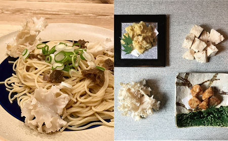きのこ ホホホタケ はなびらたけ 80g 10パック きのこ