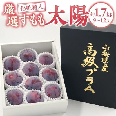 ふるさと納税 甲州市 【2025年先行受付】山梨県甲州市産 すもも『太陽』約1.7kg(化粧箱9〜12玉)