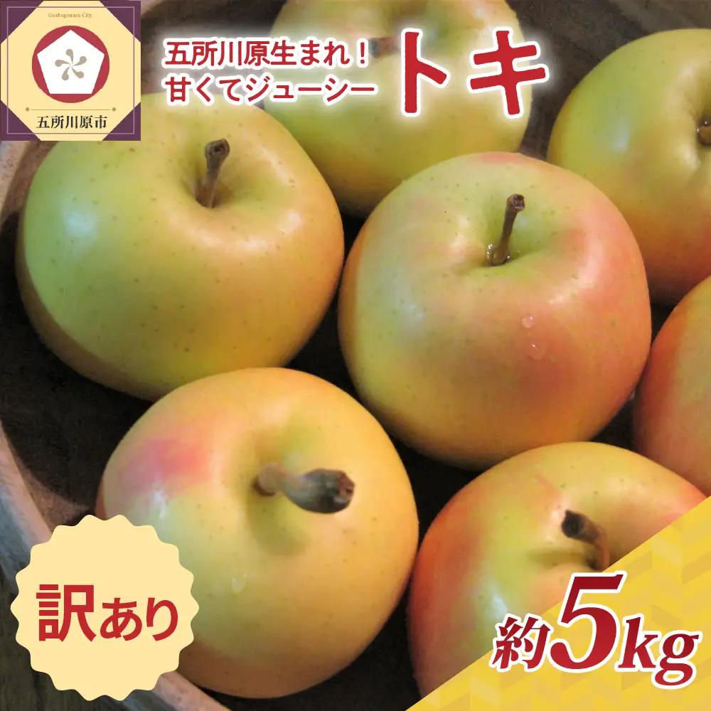 【10月後半以降順次発送】 りんご 約5kg 訳あり トキ | 黄色い りんご 青森県産