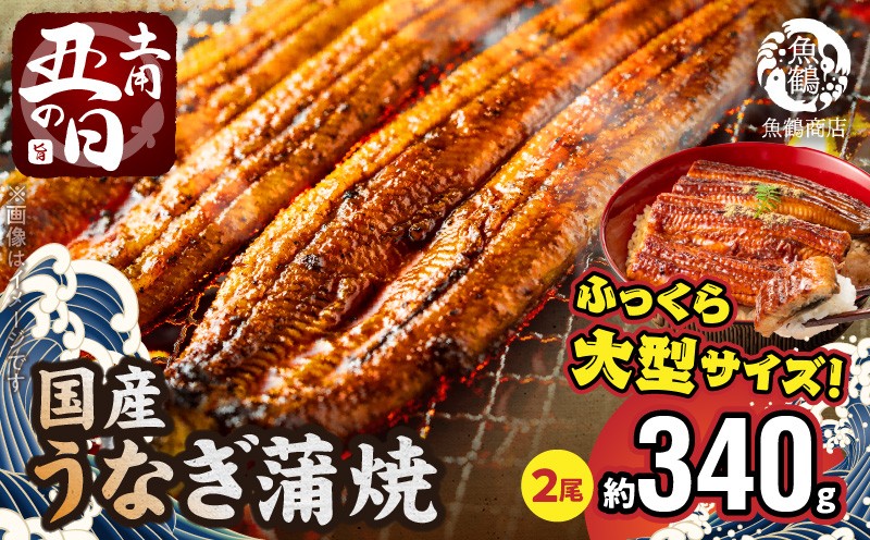 
                  G7313_【ふるさと納税】【土用の丑の日】大型サイズ ふっくら柔らか 国産うなぎ蒲焼き 2尾 化粧箱入 ＜7月26日までにお届け＞
                