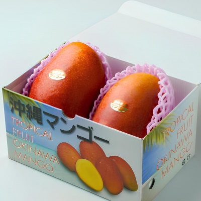 【2026年6月下旬から順次発送・家庭用】護佐丸マンゴー800g(2玉)【配送不可地域：離島】