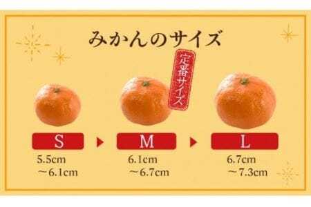 ≪先行予約≫ 濃厚ハウスみかん『蜜ツ星』秀品 800g（Mサイズ8玉）