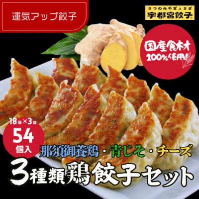 ふるさと納税 宇都宮市 宇都宮餃子 運気アップ餃子　鶏餃子3種類食べ比べ(合計54個)  保存料不使用