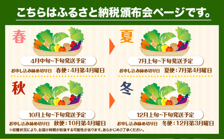 旬の新鮮な 野菜便 定期便 計4回お届け 各8～10品 アグリサポート美馬《次シーズンから出荷》春夏秋冬 定期 野菜 青果物 お取り寄せ 送料無料 徳島県 美馬市