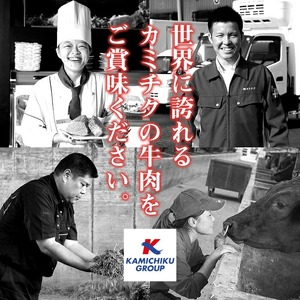 焼肉 焼肉セット 黒毛和牛 計600g 【カミチク】 No.507-03