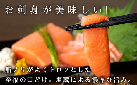【定期便 12カ月】 ロイヤルサーモン 1㎏ トラウトサーモン ☆小分け 刺身 サーモン 鮭 海鮮 魚 さけ ＜三洋食品＞