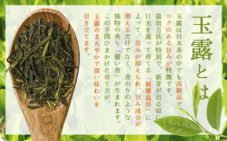 玉露 入り 水出し 緑茶 20パック×1袋 《30日以内に出荷予定(土日祝除く)》 福岡県 鞍手町 お茶 茶 送料無料