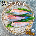 【ふるさと納税】 アマダイ 約1kg 冷凍 下処理済み 松笠揚げ 甘鯛 あまだい 水揚げ時重量約1kg 下処理後約900g エラ内臓除去 うろこ付き