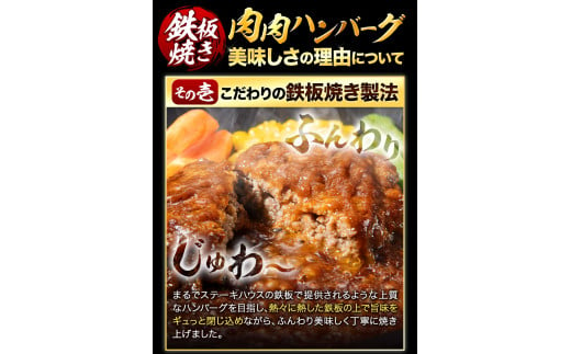 肉 ハンバーグ 肉肉ハンバーグ デミグラスソース 150g 18個 《7-14営業日以内に出荷予定(土日祝除》 大津町 国産 牛肉---oz_fh_wx_24_11000_2700g_d