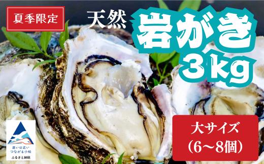 夏季限定！ 安宅産 天然 岩がき 大サイズ 3kg (6～8個)【石川県漁業協同組合小松支所】