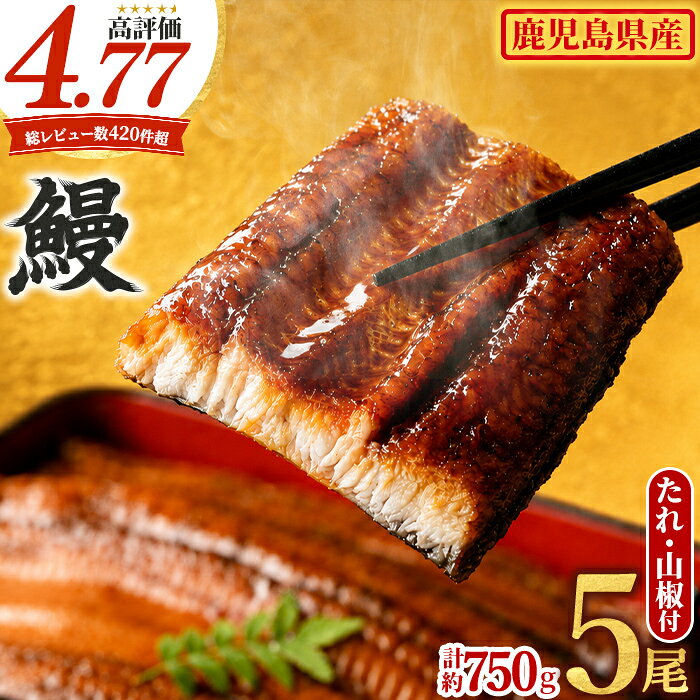 東串良町のうなぎ蒲焼(無頭)(5尾・計約750g・タレ、山椒付)うなぎ生産量日本一の鹿児島県！国産で安心！豊富な地下水で育った鰻の蒲焼き！【アクアおおすみ】