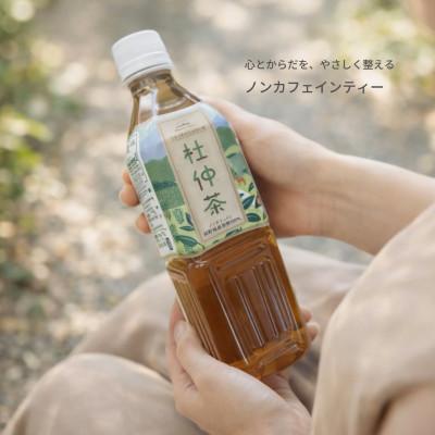 ふるさと納税 箕輪町 ノンカフェイン　信州伊那谷の手摘み杜仲茶〔ペットボトル500ml×24本入〕 |  | 01