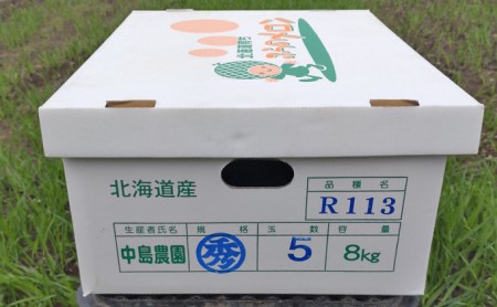 【2026年7月～発送】北海道 富良野市 ふらの赤肉 メロン 4～5玉入り 計 約8kg (中島農園) メロン フルーツ 果物 新鮮 甘い 贈り物 ギフト 道産 ジューシー おやつ ふらの ブランド 