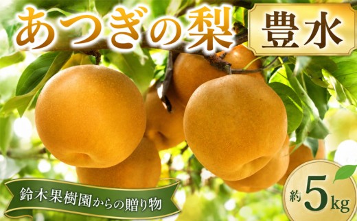  梨 豊水 豊水梨 約 5kg 1箱 なし ナシ 旬の梨 和梨 果実 甘み 品種 果肉 果汁 たっぷり 果物 くだもの デザート フルーツ fruit 2026年産 旬の果物 旬のフルーツ 高評価 大人気 おすすめ 特産品  かながわブランド 神奈川県産 関東 厚木 あつぎの梨 sfe001