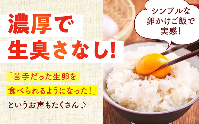 【数量限定100セット】安田養鶏場の卵 しおさい 30個入り 神奈川県産 横須賀市 割れ保証付き たまご 卵 玉子 タマゴ 鶏卵 オムレツ 卵かけご飯 朝食 料理 人気 卵焼き【安田養鶏場】 [AKH