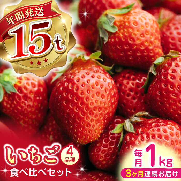 【ふるさと納税】【先行予約】【2025年12月より順次発送】【全3回定期便】いちご 食べ比べ セット 4品種 総計3.0kg ( 250g × 4P × 3回 ) 農園直送 産地直送 熊本県産 山都町産 イチゴ 苺 ストロベリー フルーツ 果物 【なかはた農園】[YBI003]